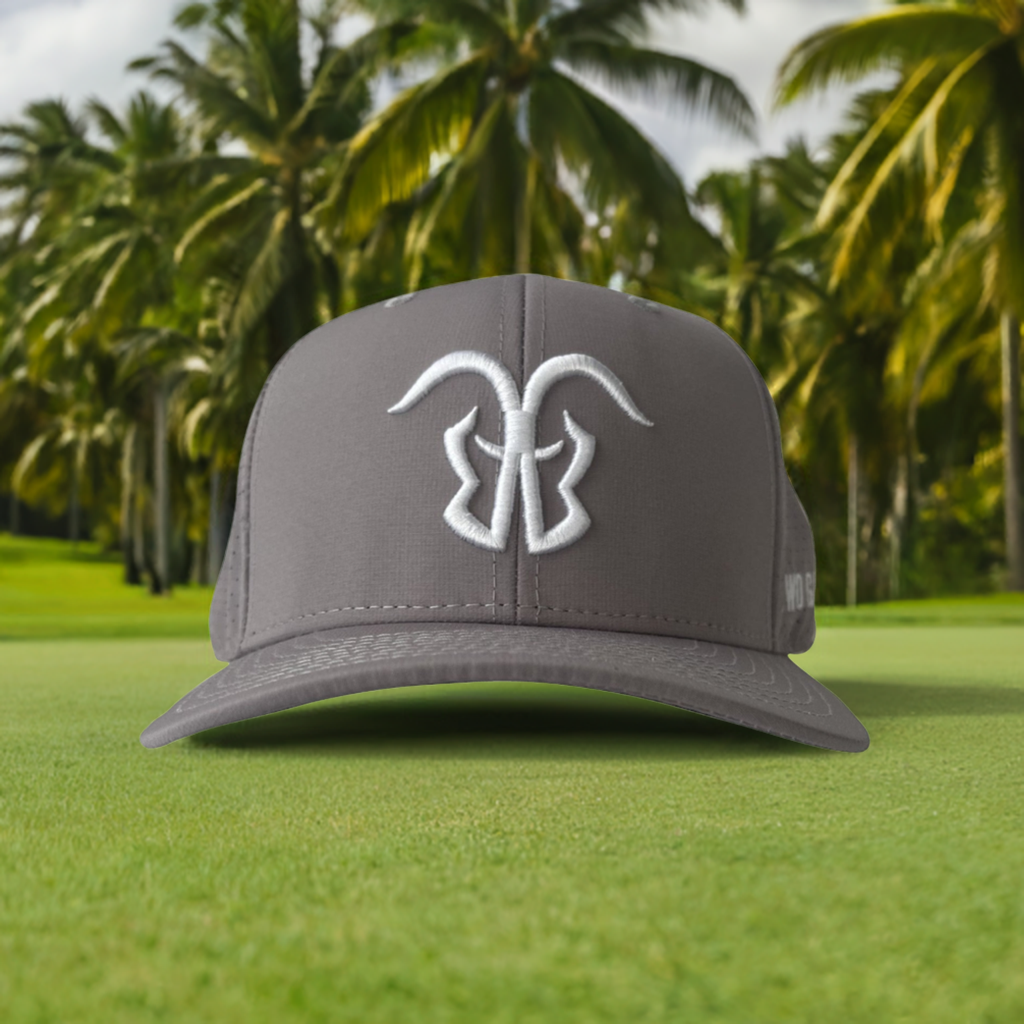 Performance Logo Hat - Gray